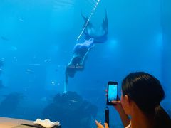 -海棠湾洲际-涛·海底餐厅·美人鱼·自助餐·海底隧道