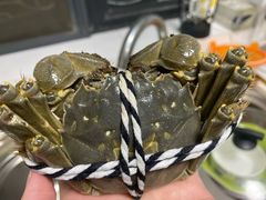-七的湖·晚芳亭·阳澄湖农家菜·大闸蟹(莲花岛店)