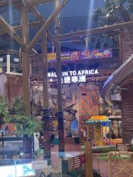 -卡通尼·Safari非洲探索乐园·生日会(金桥国际商业广场店)