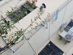 -云中鱼蒸汽石锅鱼(川沙百联店)