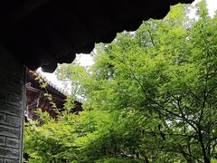 -白鹭洲书院