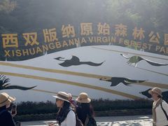 -西双版纳原始森林公园