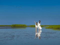-盐城丹顶鹤湿地生态旅游区
