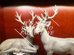 -Strawberry Butterfly草莓蝴蝶日式水果挞