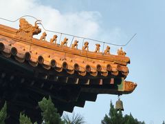 游乐设施-广济寺