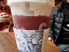 -龙湖重庆时代天街