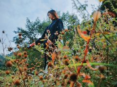 -瑞安圣井山景区