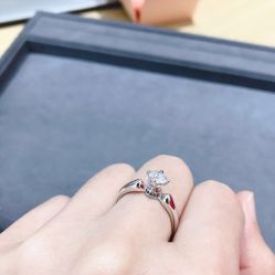 -钻石小鸟钻戒婚戒定制(石路店)