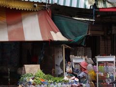 -唐人街(耀华力路)