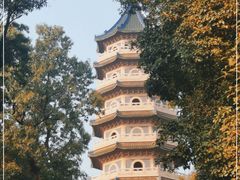 -灵谷景区