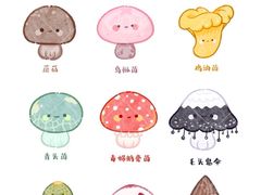 -滇野云南野生菌餐厅(陕西南路店)