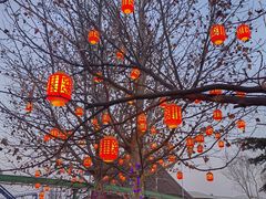 -北京石景山游乐园