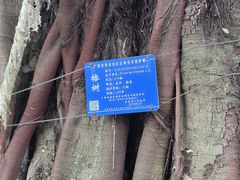-桂林独秀峰王城景区