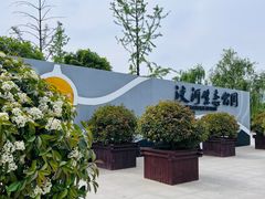 -洨河生态公园