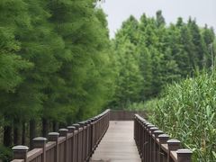 -双山岛
