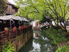 -西溪国家湿地公园