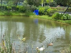 -深圳大学(丽湖校区)