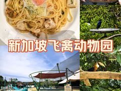 -新加坡飞禽公园