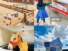 -中国马镇舞马世界主题乐园