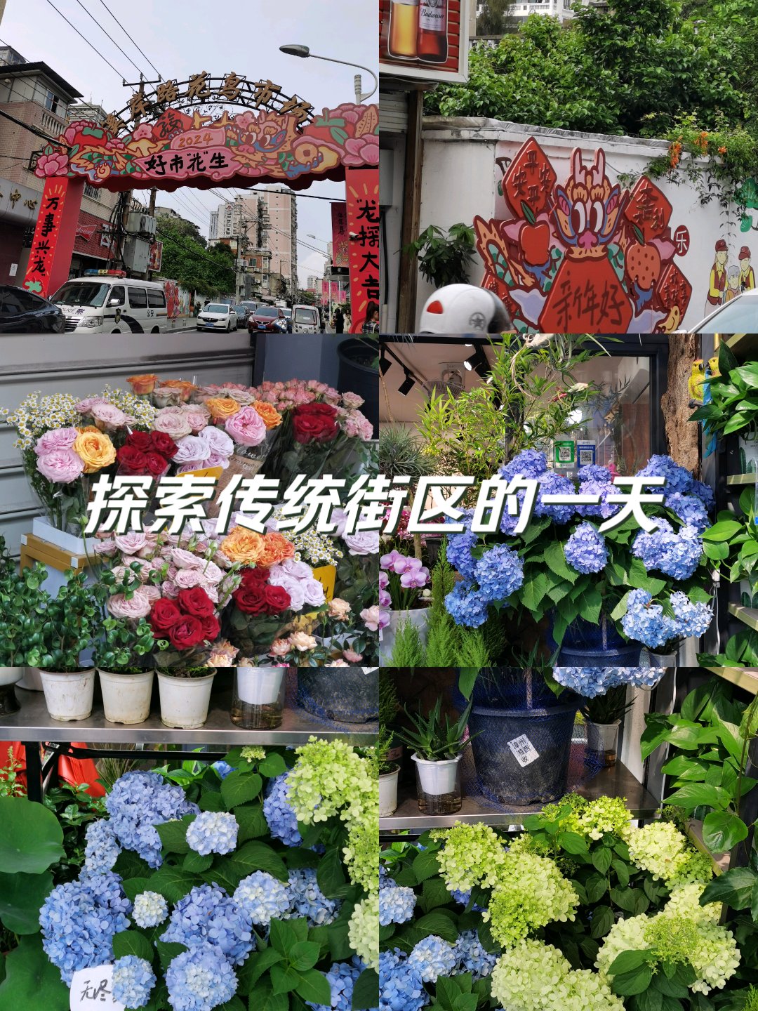 江阴路花鸟市场图片