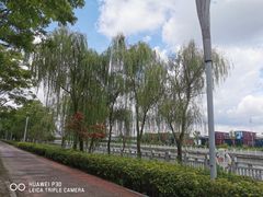 -上海浦江郊野公园-4号停车场