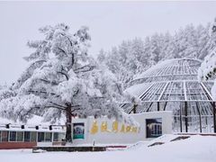 -塞罕坝国家级自然保护区