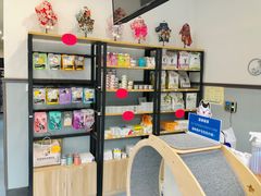 -伟伟宠物医院·瑞派猫友好医院·猫科(光谷店)