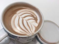 -飞行喵MR PILOT|猫舍·猫咖(静安大融城店)