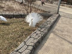 -太原动物园