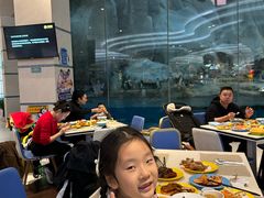 -帝企鹅自助餐厅•儿童岛•真企鹅(长隆企鹅酒店)