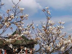 -张家界天门山国家森林公园