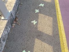 -尚贤河湿地