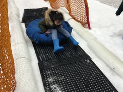 -Mr·Kuma酷么先生雪之乐园