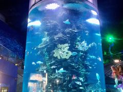 -蓬莱欧乐堡海洋极地世界