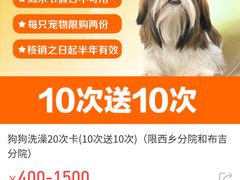 -创凡宠物医院·骨专科  猫科中心(西乡分院)
