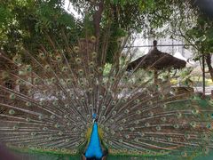 -陕西自然博物馆