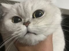 -瑞派雷欧宠物医院·中兽医·眼科·急重症转诊中心(黄台店)