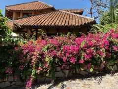 三角梅-美奈海崖度假酒店