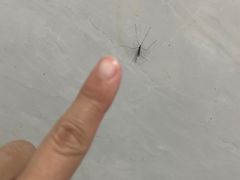 -玛扎烧烤私房菜