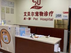 -艾贝尔宠物诊疗
