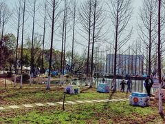 -金银湖国家城市湿地公园