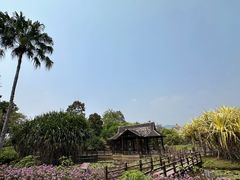 -中国科学院西双版纳热带植物园