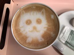 -喵屿·大理花园猫咖