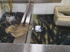 -都江堰石锅鱼