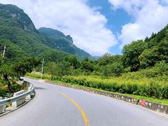 -秦岭风景区