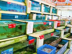 -旺富东海大酒楼(海鲜街店)