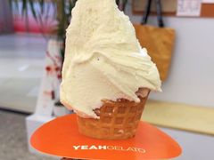 -野人先生现做冰淇淋(北京环宇荟店)