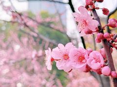 -静安雕塑公园