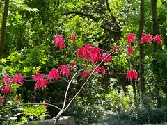 -杭州半山国家森林公园