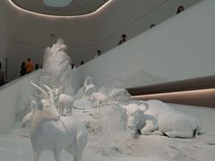-中国湿地博物馆